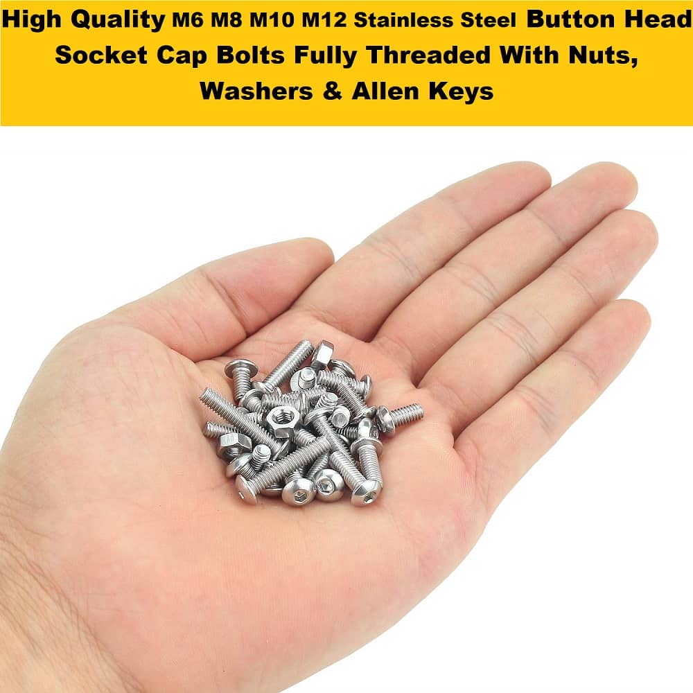 855 Pcs M6 M8 M10 M12 Dia Stainless Steel Button Head Bolts Assortment Pack 4