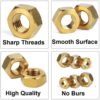 208 Pcs Brass Hexogonal Nuts 7 Sizes M3-M12 Assortment Pack