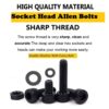 496-Pcs-M4-Dia-12.9-Grade-Hi-Tensile-Socket-Head-Allen-Bolts-Assortment-Pack-2.jpg 496 Pcs M4 Dia 12.9 Grade Hi Tensile Socket Head Allen Bolts With Matching Accessories Assortment Pack