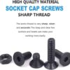 893 Pcs Hi Tensile M6 M8 M10 M12 Dia Socket CSK Flat Head Bolts With Matching Accessories Assortment Pack