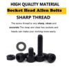 823-Pcs-M3-M4-M5-Dia-12.9-Grade-Hi-Tensile-Socket-Head-Allen-Bolts-Assortment-Pack-2.jpg 823 Pcs M3 M4 M5 Dia 12.9 Grade Hi Tensile Socket Head Allen Bolts With Matching Accessories Assortment Pack